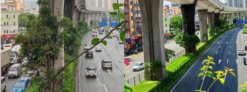 18LUCK��(china)����
